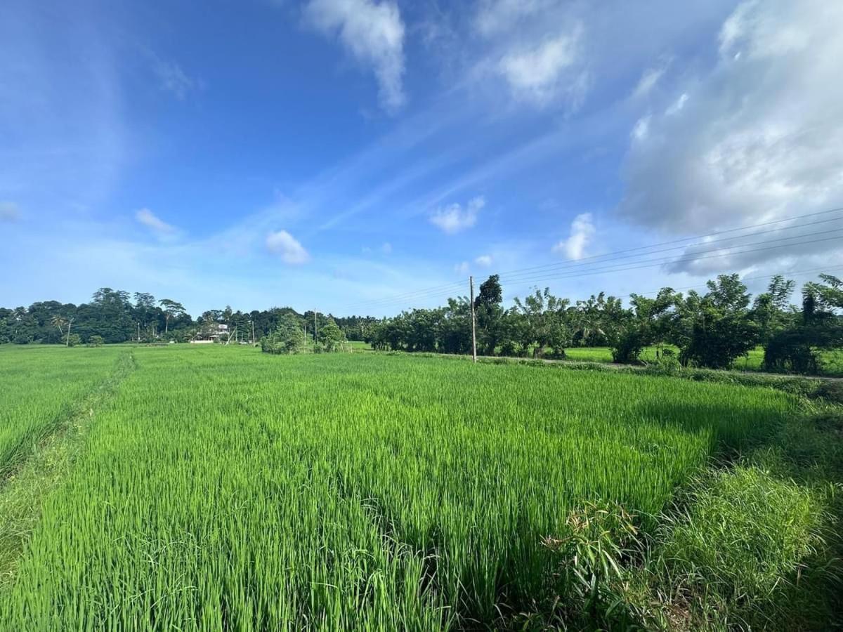 Ibson - 02 With 4 Bedrooms & Salt Water Swimming Pool Villa Hikkaduwa
